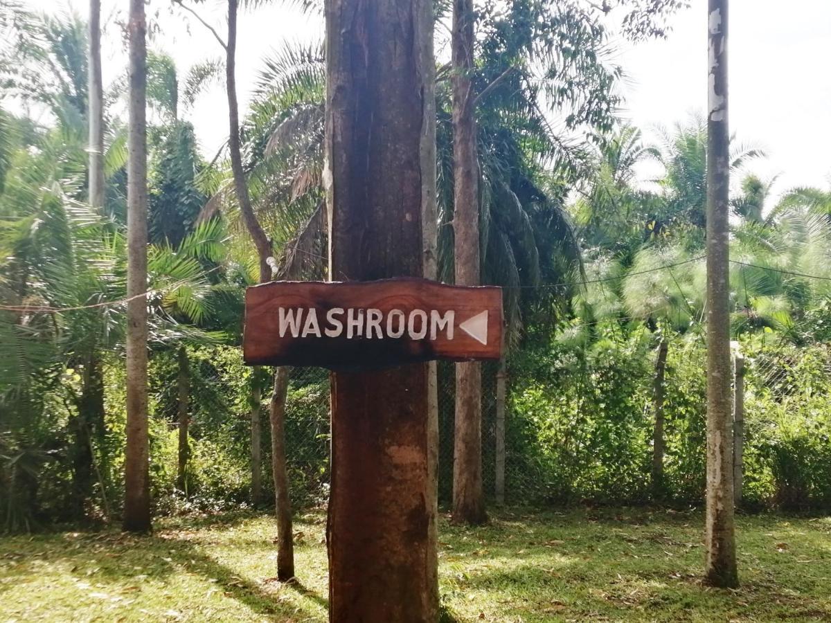 Murchison Backpackers Masindi Exteriér fotografie