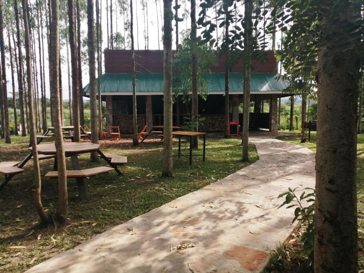 Murchison Backpackers Masindi Exteriér fotografie