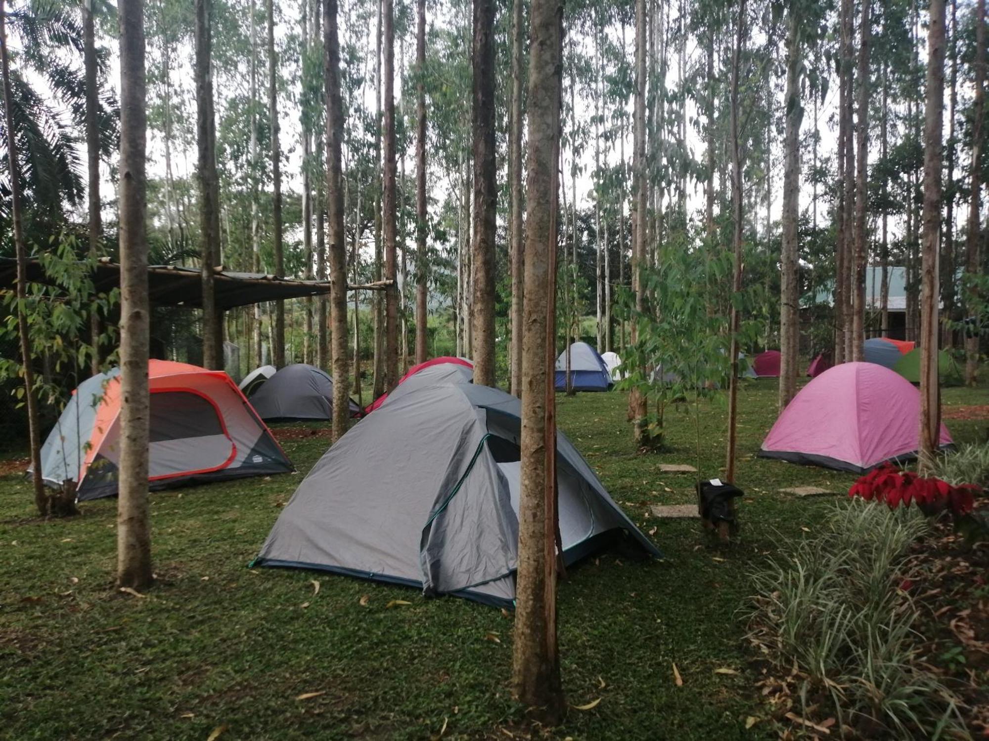 Murchison Backpackers Masindi Exteriér fotografie